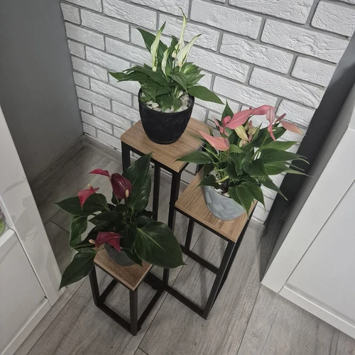 Stovintis gėlių stovas 67cm Ruhhy 25626