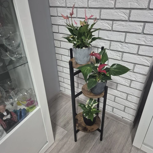 Stovi gėlių stovas 80cm Ruhhy 25627