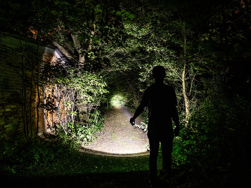 TRACER žibintuvėlis 1200mAh su lempa
