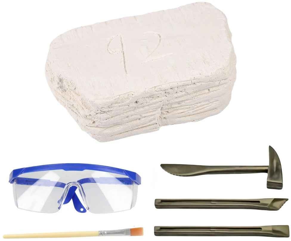 Lean Toys Archeologinių kasinėjimų rinkinys su kaukole