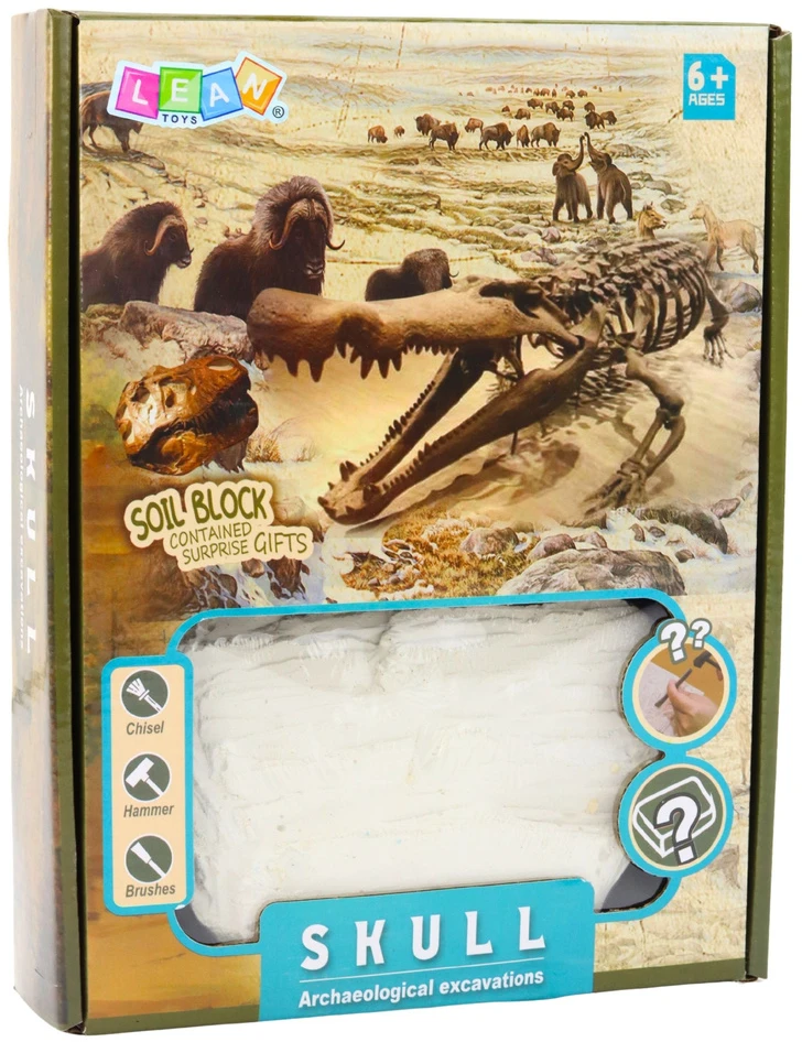Lean Toys Archeologinių kasinėjimų rinkinys su kaukole