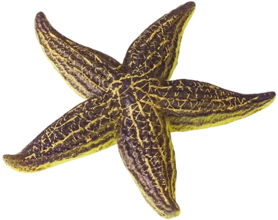 Lean Toys Jūros žvaigždės figūrėlė 9.5 cm
