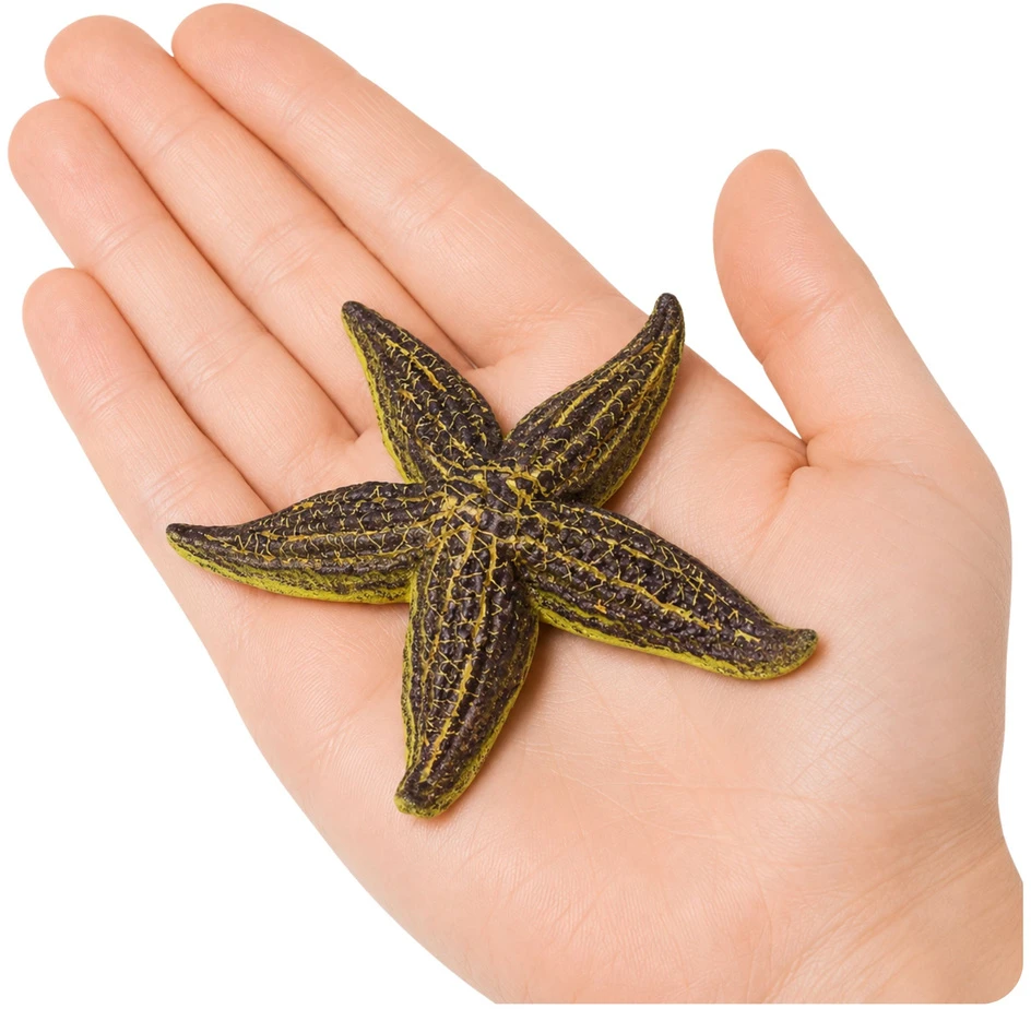 Lean Toys Jūros žvaigždės figūrėlė 9.5 cm