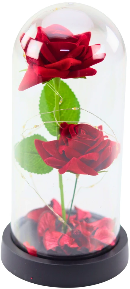 Lean Eternal 2 Roses in Dome with LED apšvietimas and Rose Petals Raudona 21x11cm