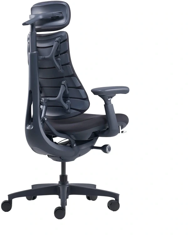 LiberNovo Omni 48 cm ergonominė kėdė (juoda)