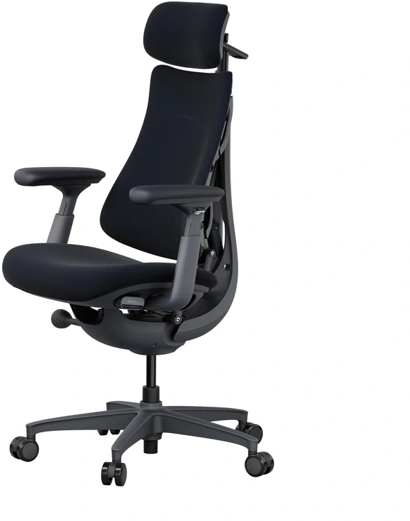 LiberNovo Omni 48 cm ergonominė kėdė (juoda)
