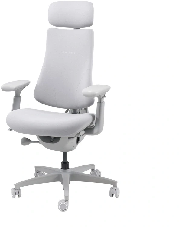 LiberNovo Omni 45 cm ergonomiška kėdė (pilka)