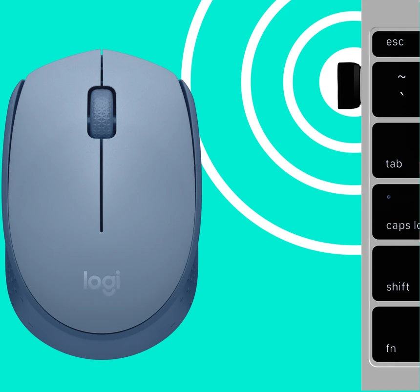 LOGITECH M171 Belaidė pelė - Mėlynas Pilkas