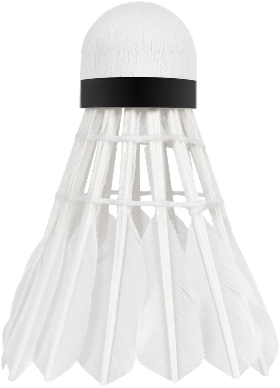 Badmintono kamuoliukas iš žąsų plunksnų iš arti