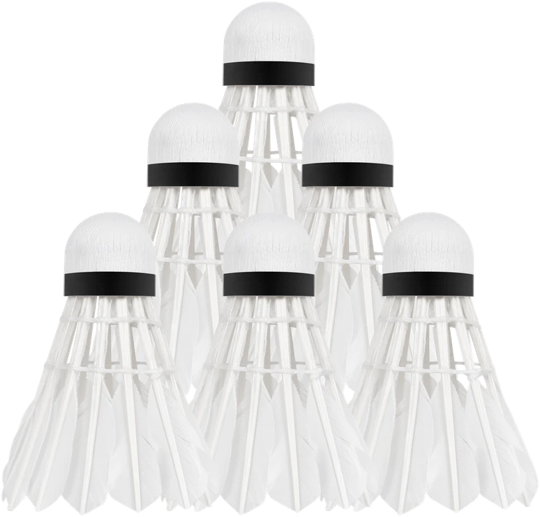 REBEL ACTIVE badmintono plunksninukai, rinkinys 6 vnt.