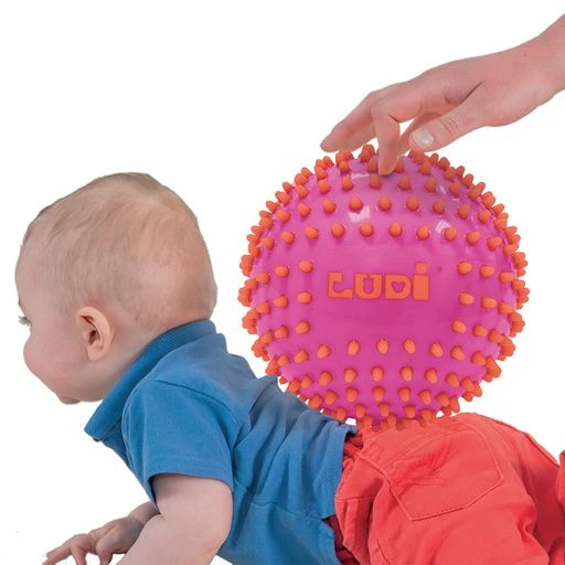 Ludi - Sensorinių kamuoliukų rinkinys - rožinis - LU30022