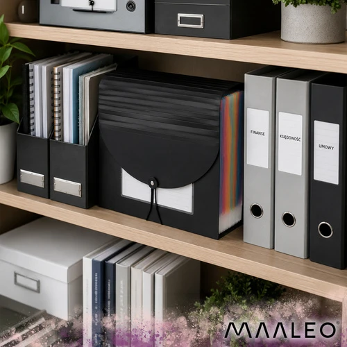 Maaleo 24-compartment document folder