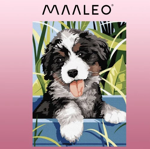 Maaleo Tapyba pagal skaičius - Šuo 40X30CM PREMIUM