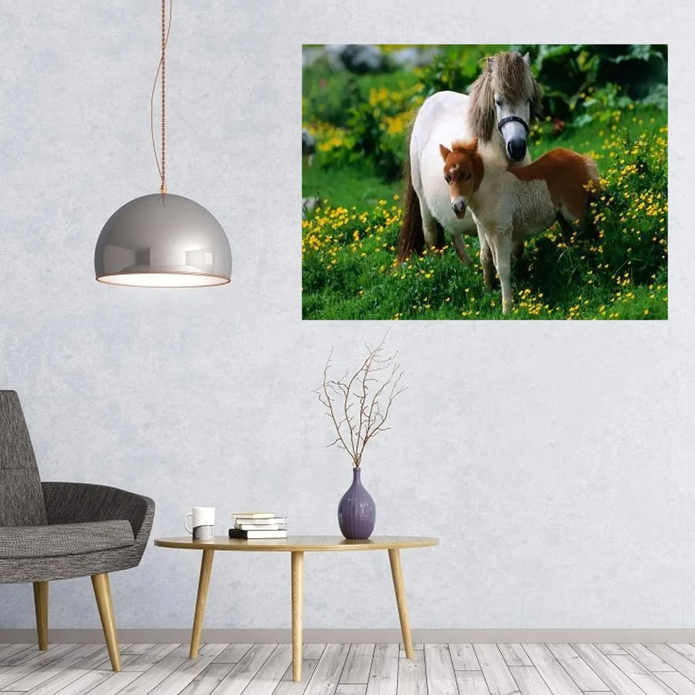 Malowanie Tapyba skaičiais paveikslas su rėmeliu „pasidaryk pats“ rinkinys teptukai dažų drobė 40x50