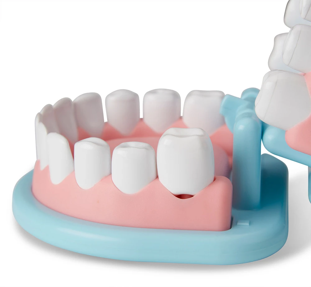 Dėlionė MELISSA & DOUG žaidimų rinkinys „Super Smile“ odontologo žaidimų rinkinys