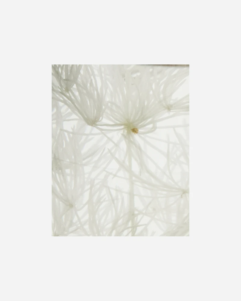 „Meraki“ – difuzorius – alyvinė mūza – 240 ml