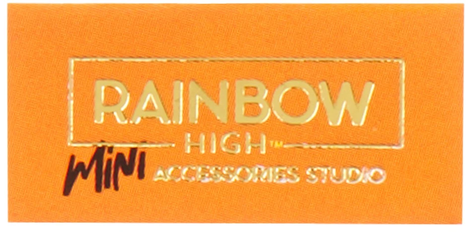 Mga rankinukas Rainbow High Accessories Studio Series 1, 1 vnt. asortimentas