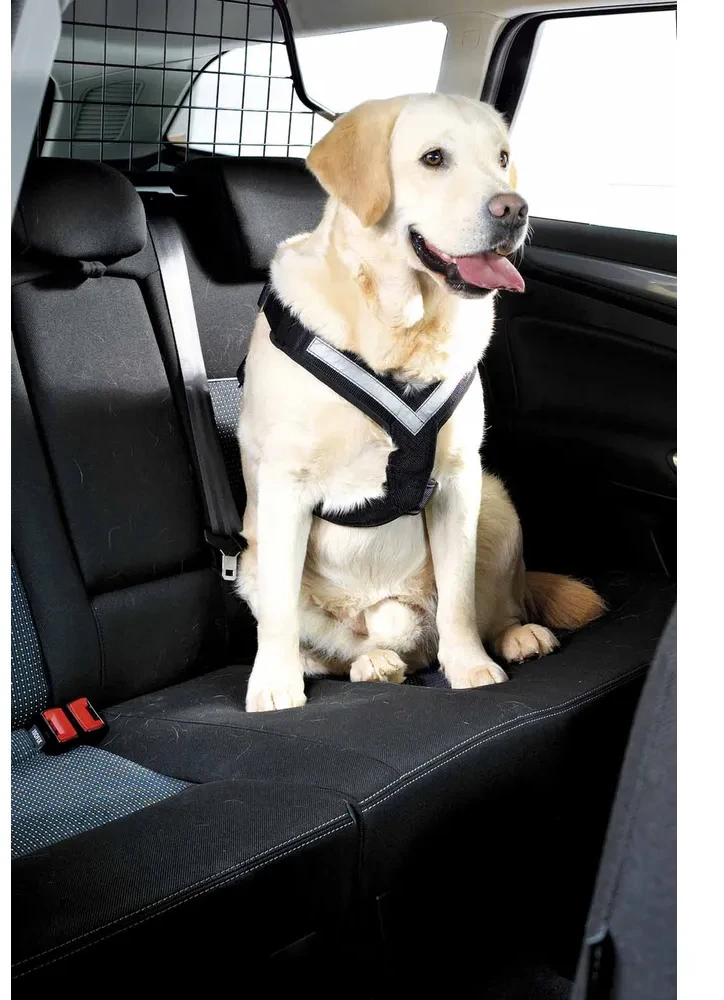 Mim – „Allsafe Large“ (30–55 kg) automobilio saugos diržai – patikrinti avarijų metu