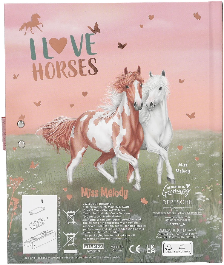Miss Melody Mis Melody - Dienoraštis su kodu ir garsu, 1 dizainas (413236)
