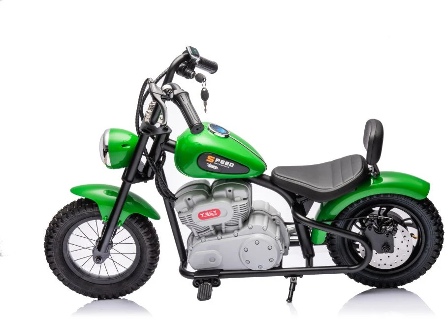 Lean Cars Akumuliatorinis motociklas A9902 36V Žalias