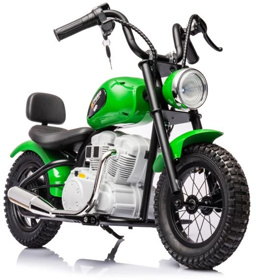 Lean Cars Akumuliatorinis motociklas A9902 36V Žalias