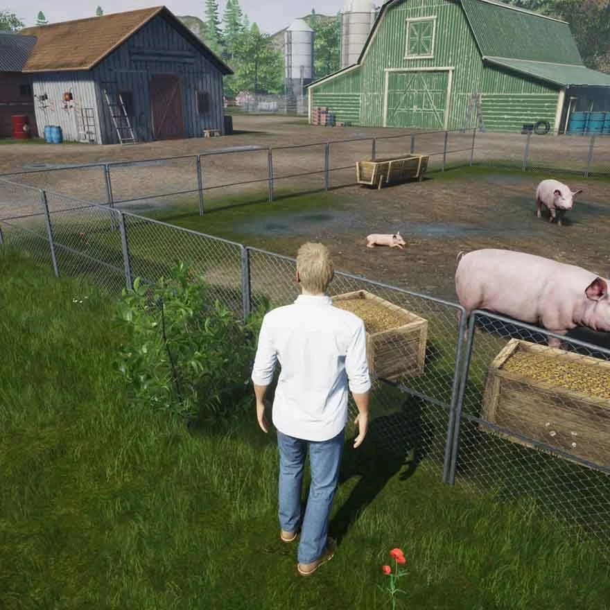Mindscape „Mano gyvenimo ūkio veterinaras“ – „PlayStation 5“.