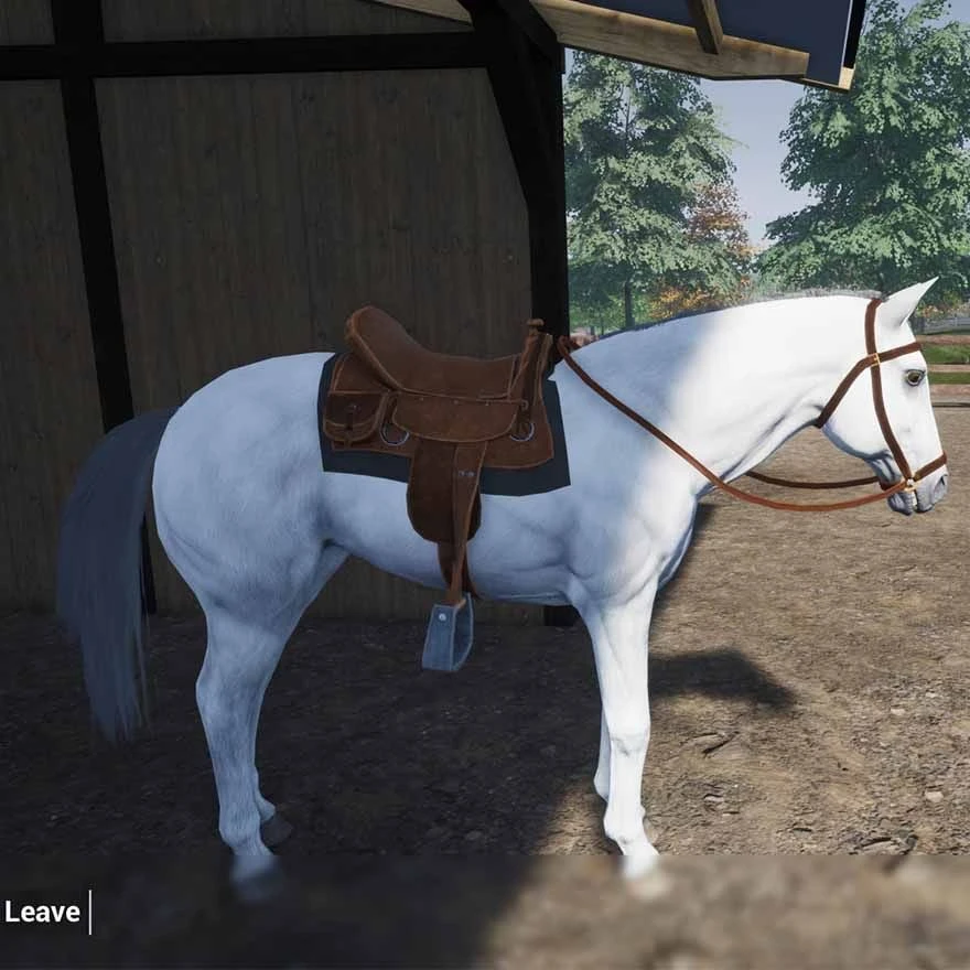 Mindscape „Mano gyvenimo ūkio veterinaras“ – „PlayStation 5“.
