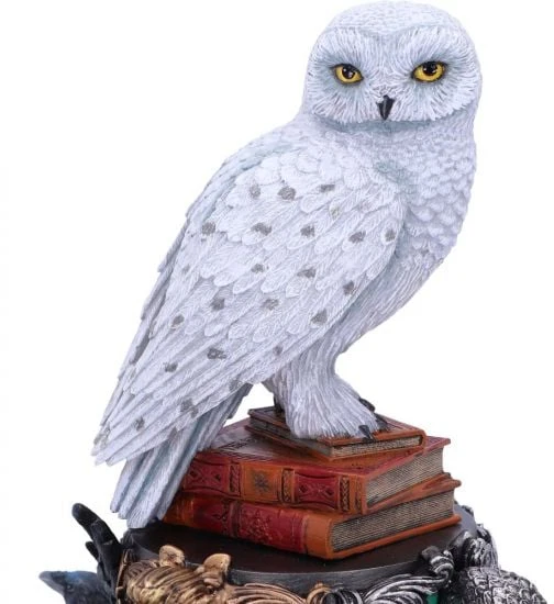 Nemesis Nowharry Potter Hario Poterio Hedvigos figūrėlė 22 cm