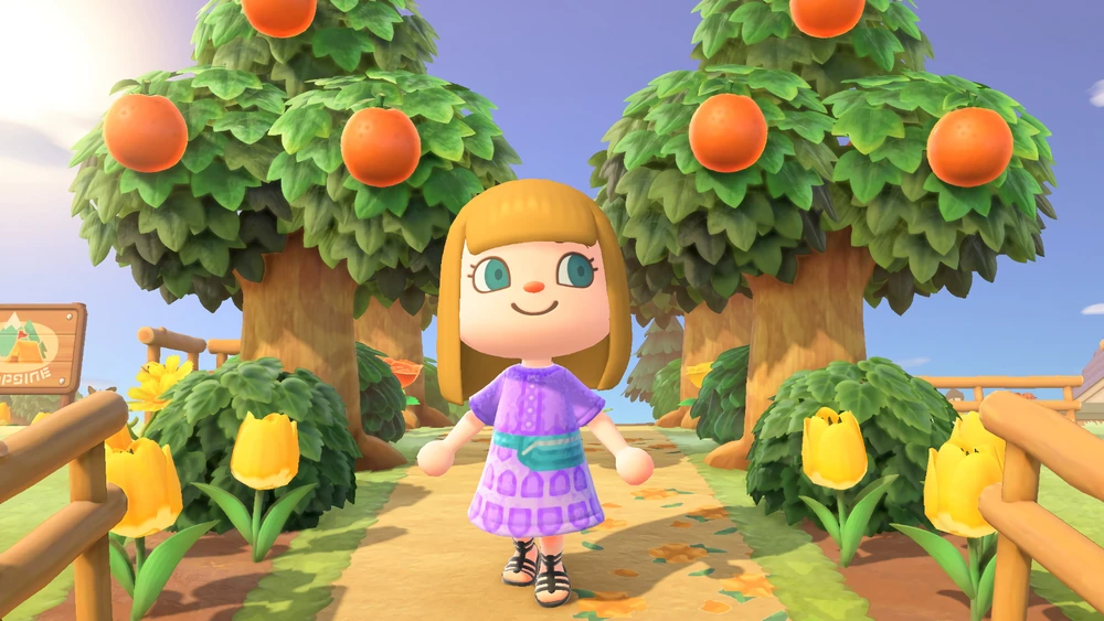 „Nintendo Switch Lite“: „Animal Crossing: New Horizons“