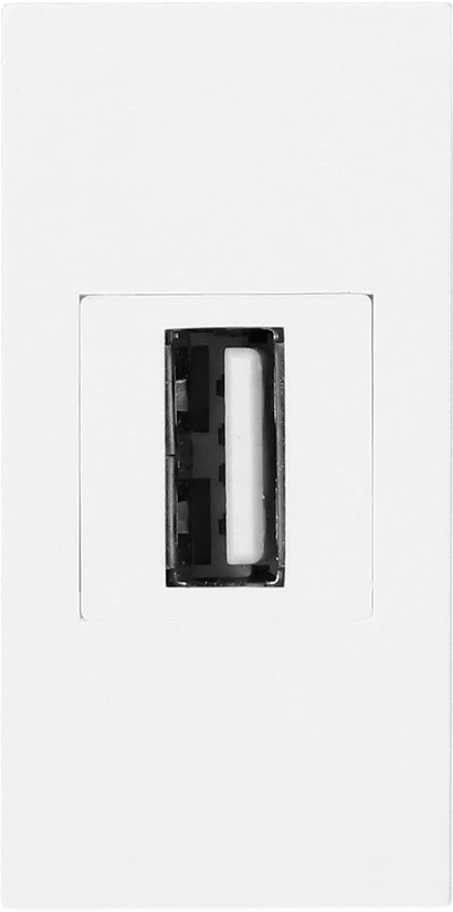 Orno NOEN USB data, modulinis lizdas 22,5x45 mm USB data 2.0, tarpiklis, baltas