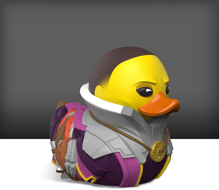 Numskull Destiny Tubbz Mini Works