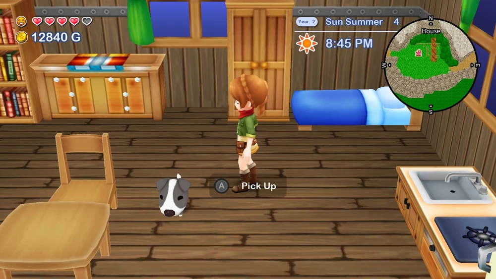 „Numskull Harvest Moon: The Lost Valley and Skytree Village“ (kolekcininko leidimas)