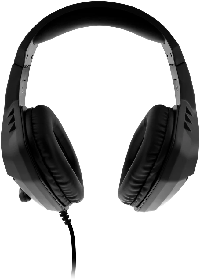 Nyko ausinės NXBX-4500