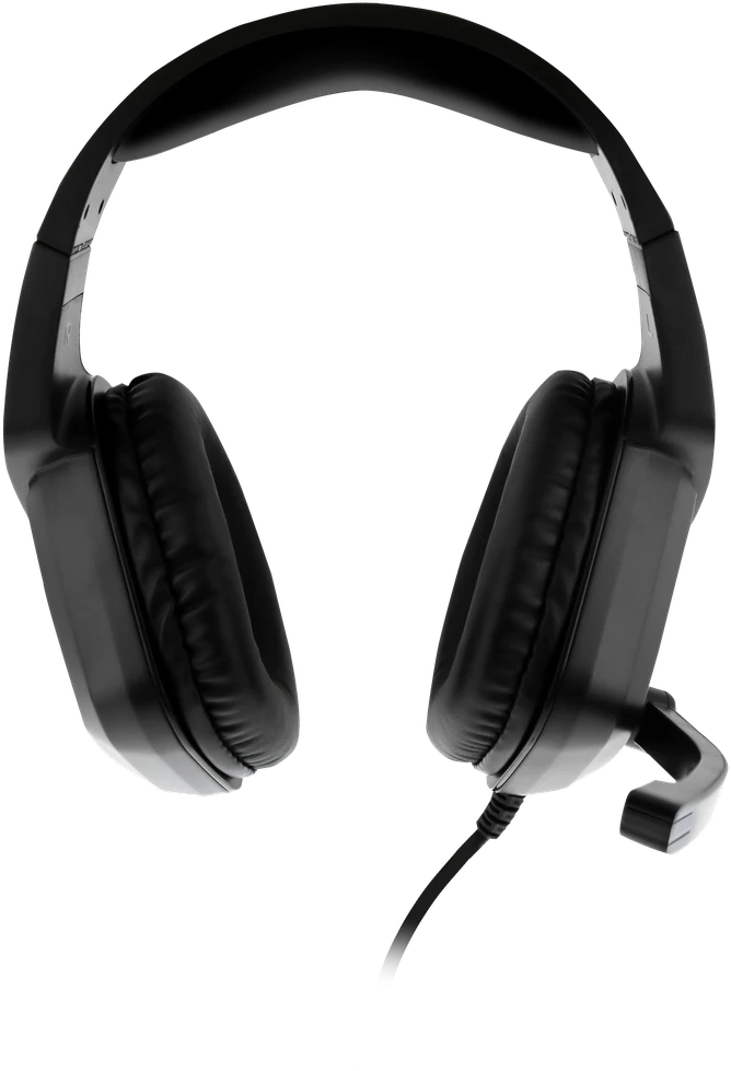 Nyko ausinės NXBX-4500
