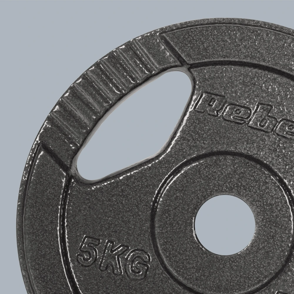 Ketaus svarelių rinkinys 4x5kg, skylė 31mm, plokštė su rankenomis, REBEL ACTIVE