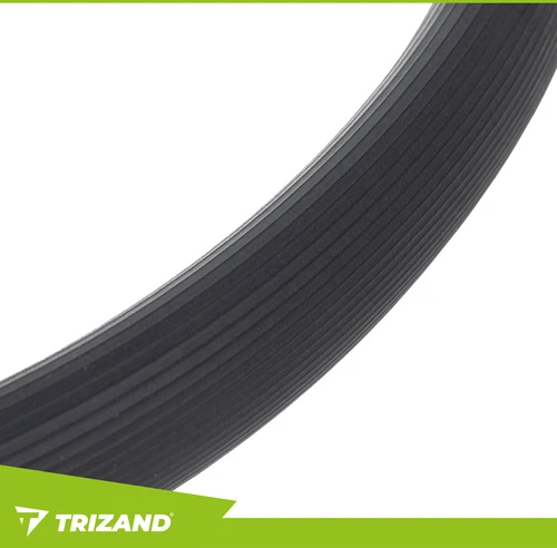 „Trizand Triznad 26848“ mankštos žiedas
