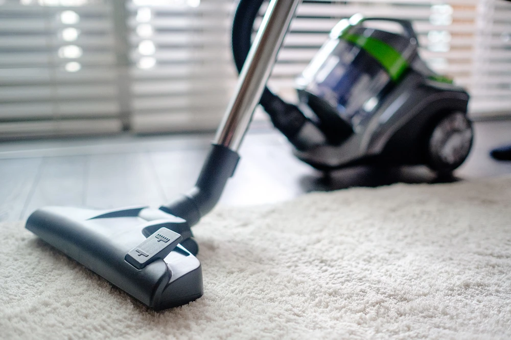 TEESA VACUUM Žalias dulkių siurblys be maišelio