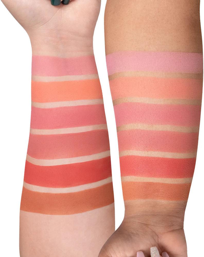 OFRA Cosmetics - Mini Mix Palette - Sužavėk Savo Skruostus - 16g