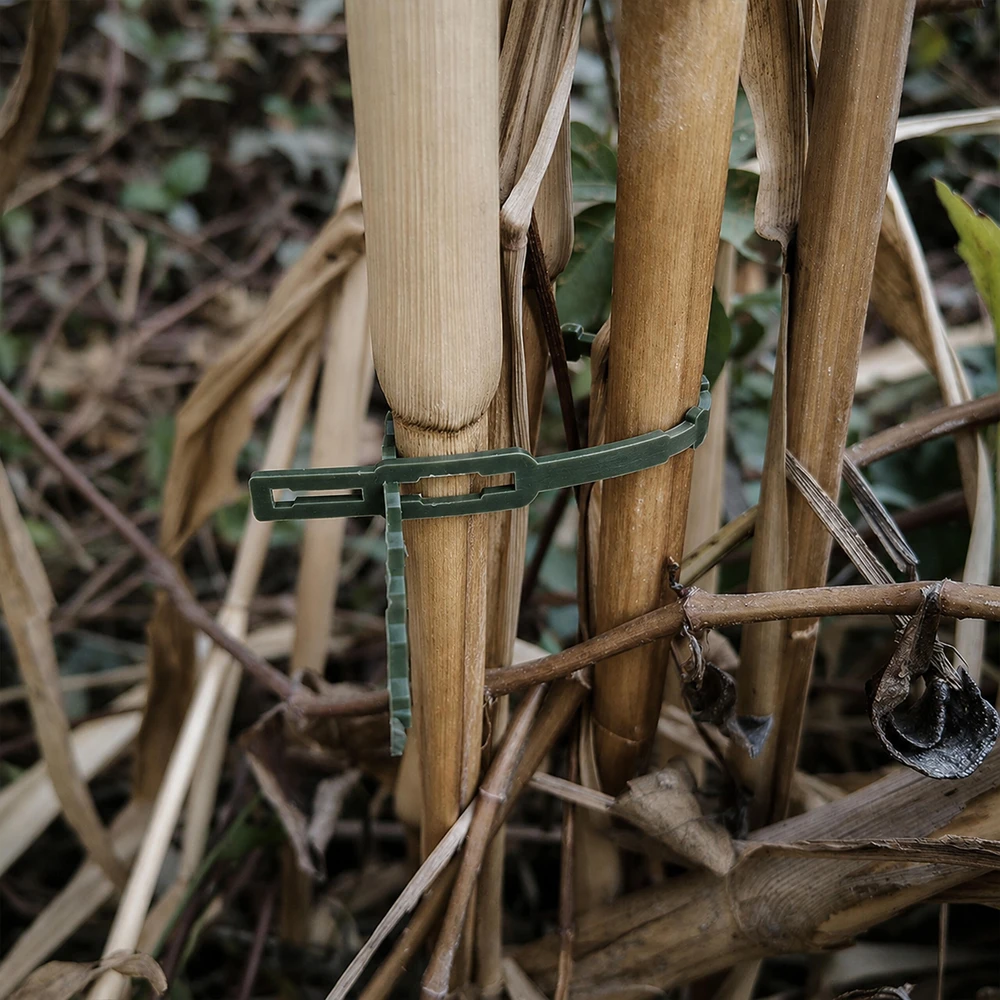 ‎Opaski Sodo raiščiai, 100 vnt., spaustukai augalų ir gėlių tvirtinimui, reguliuojami, 23 cm