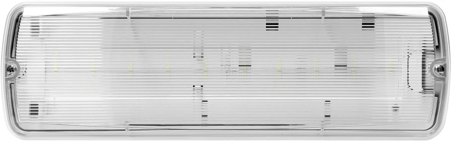 Sieninis šviestuvas Orno Oprawa METU LED avarinis šviestuvas 2,7 W, 3H, IP65, 6000 K