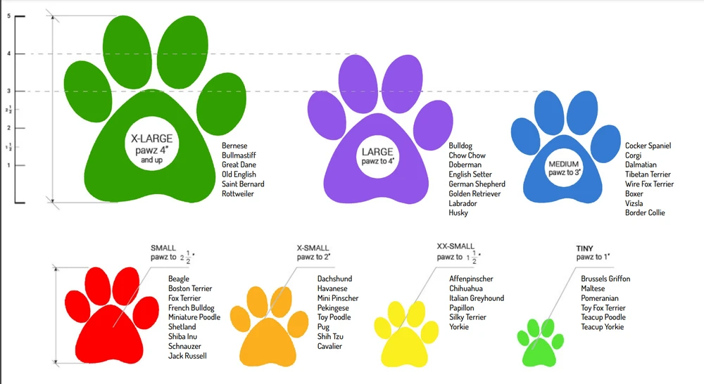 PawZ - guminiai šunų batai - XL - juodi - 12 vnt.