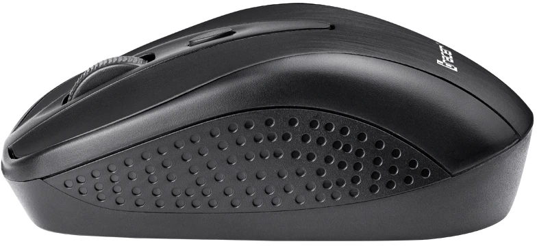 TRACER Joy II RF Nano USB Juodas Pelė Wireless