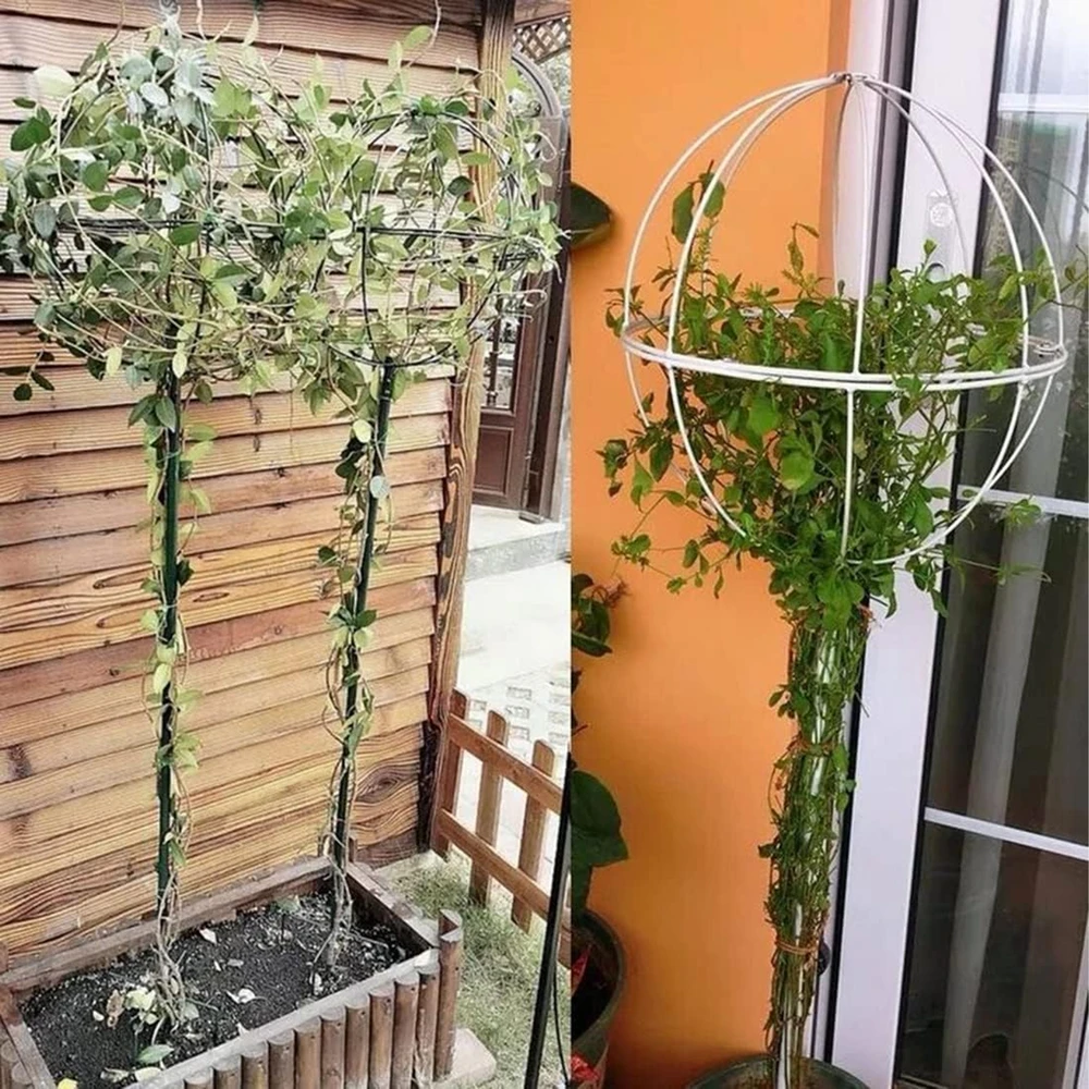 Pergola Sodo pergolės terasos metalinė atrama vijokliniams augalams, rožėms, 50x10 cm, baltos spalvos