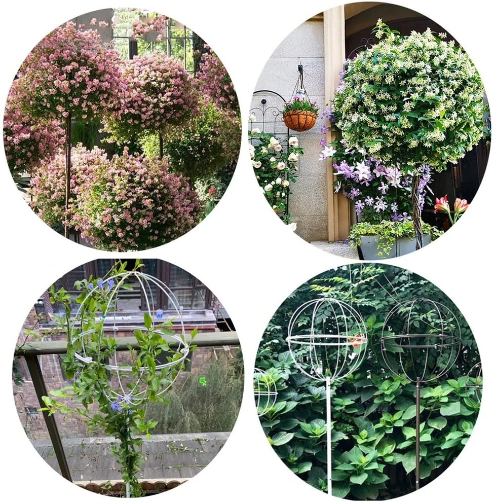 Pergola Sodo pergolės terasos metalinė atrama vijokliniams augalams, rožėms, 50x10 cm, baltos spalvos