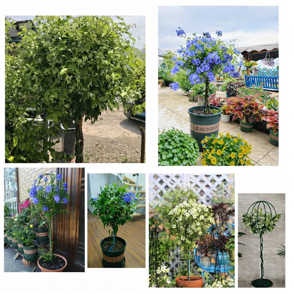 Pergola Sodo pergolės terasos metalinė atrama vijokliniams augalams, rožėms, 50x10 cm, žalia