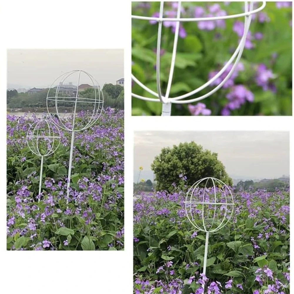 Pergola Sodo pergolės terasos metalinė atrama vijokliniams augalams, rožėms, 50x10 cm, baltos spalvos