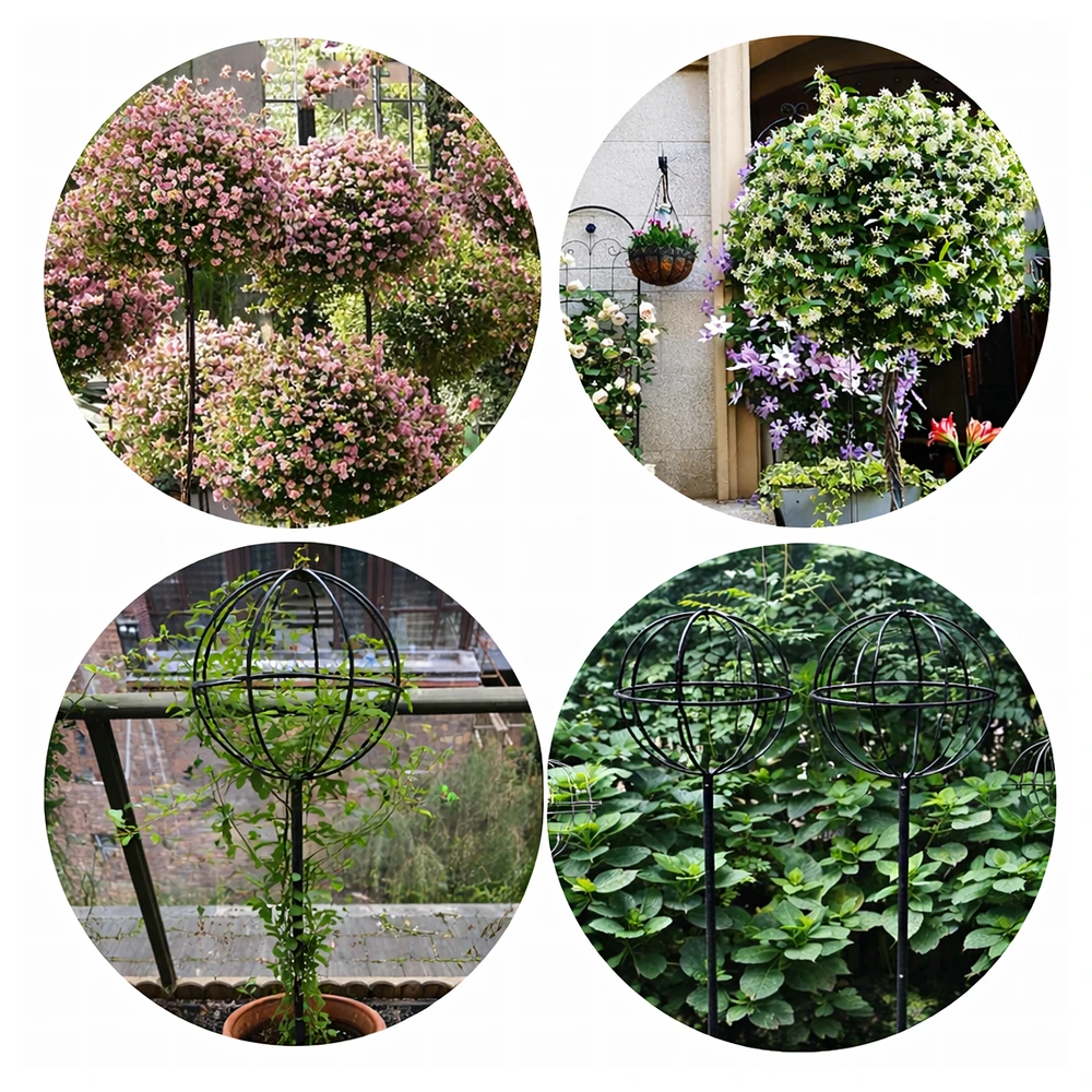 Pergola Sodo pergolės terasos metalinė atrama vijokliniams augalams, rožėms, 50x10 cm, juodos spalvos
