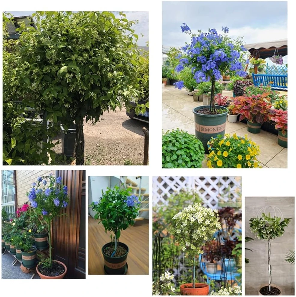 Pergola Sodo pergolės terasos metalinė atrama vijokliniams augalams, rožėms, 50x10 cm, baltos spalvos