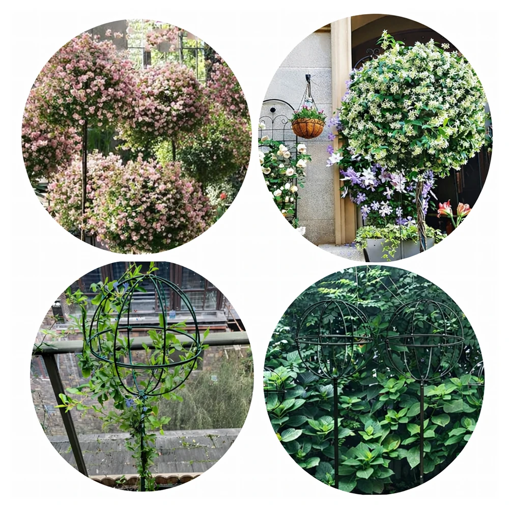 Pergola Sodo pergolės terasos metalinė atrama vijokliniams augalams, rožėms, 50x10 cm, žalia