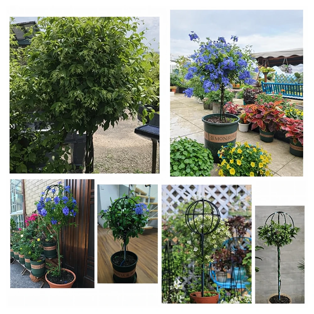 Pergola Sodo pergolės terasos metalinė atrama vijokliniams augalams, rožėms, 50x10 cm, juodos spalvos